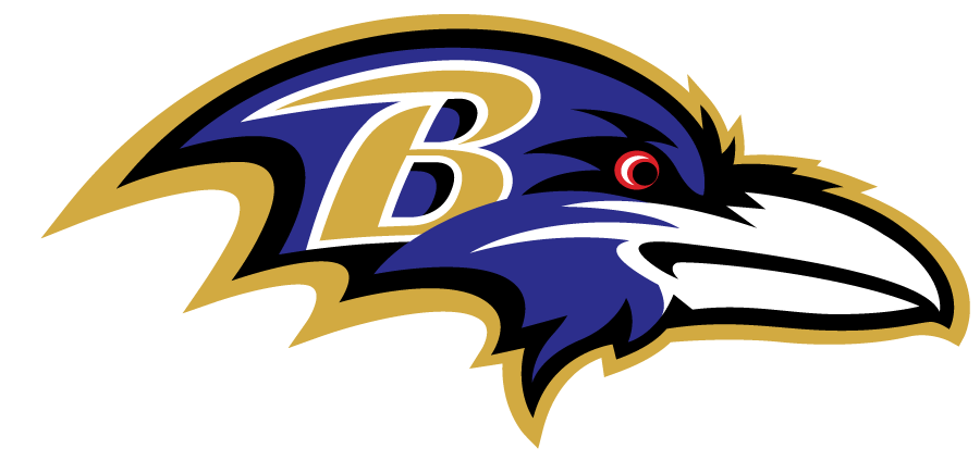 Ravens Girl Heat Transfer stickers DIY clothing stripes Iron on