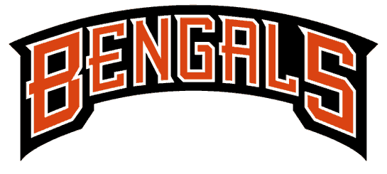 Cincinnati Bengals Football Heat Transfer Vinyl Iron On