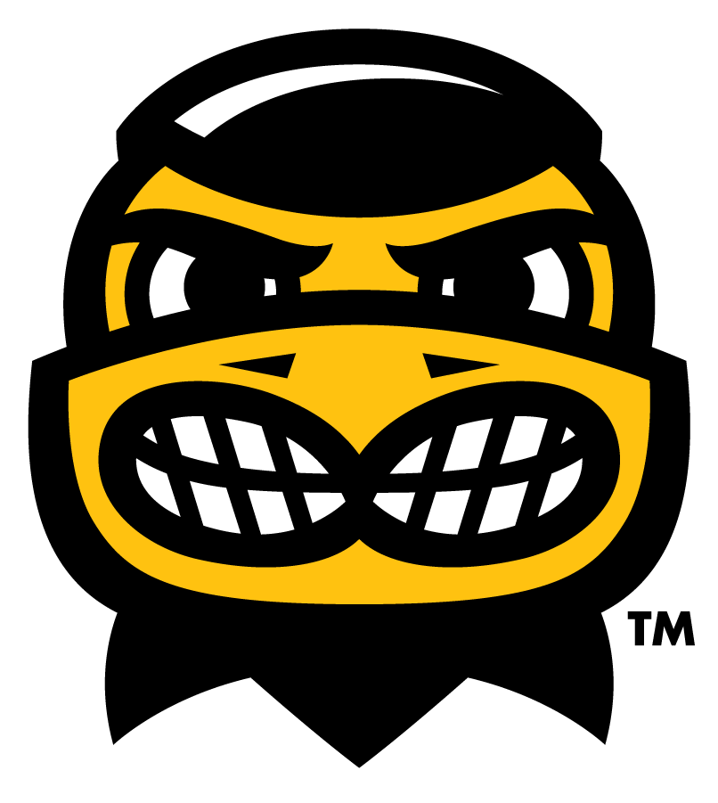 Iowa Hawkeyes Wordmark Logo