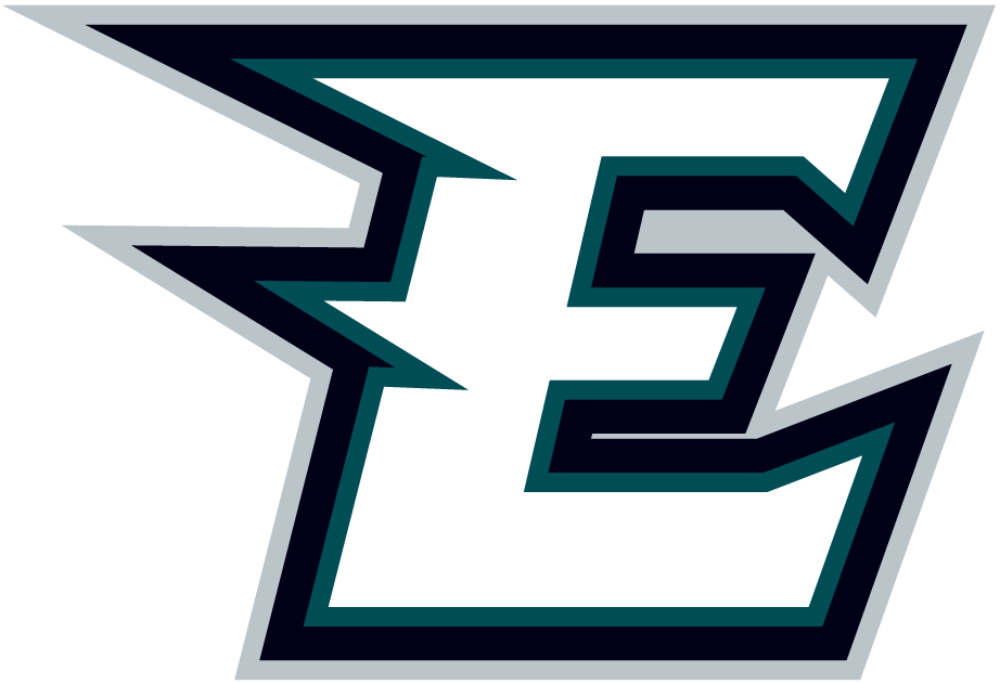 Philadelphia Eagles DIY iron on transfers, heat transfer decals, t